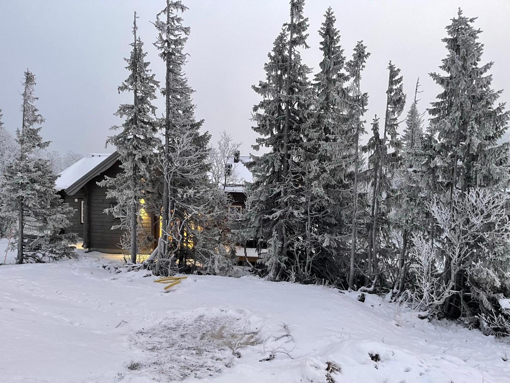 Mountain Holiday Homes - Ottsjoe, Trillevallen -Sweden Åre Habitación foto